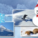Natale ad alta quota: le offerte natalizie in montagna!