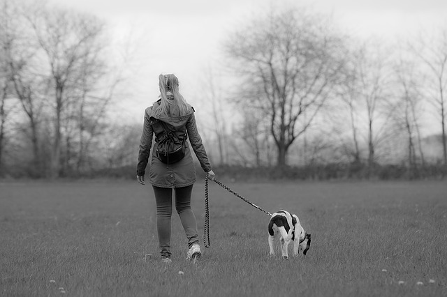 portare a spasso il cane fa bene alla salute