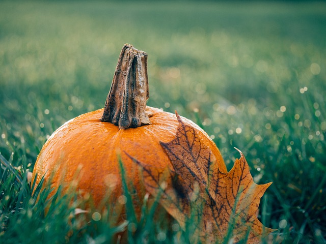 come mangiare la zucca