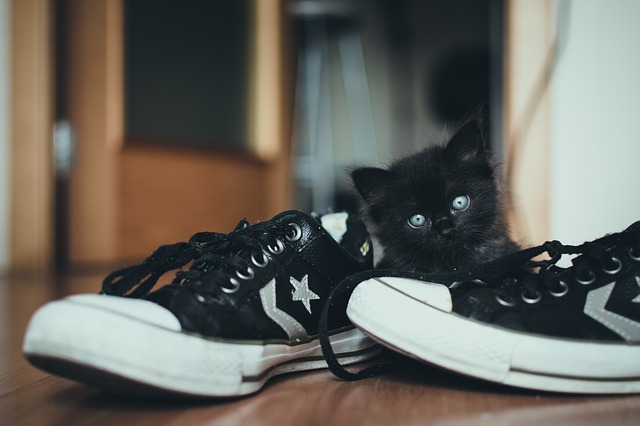 perché togliersi le scarpe in casa