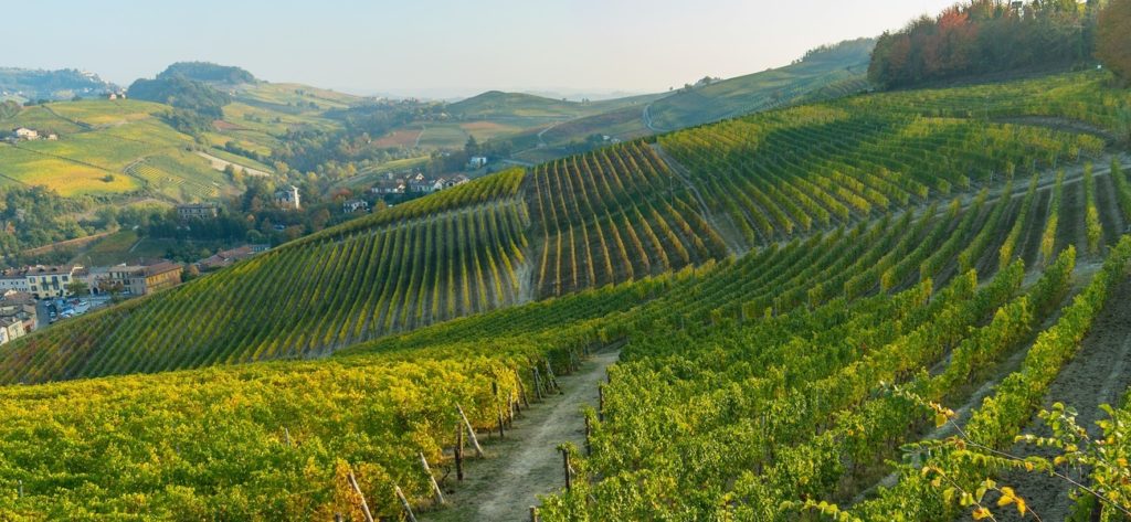 ponte 2 giugno langhe barolo