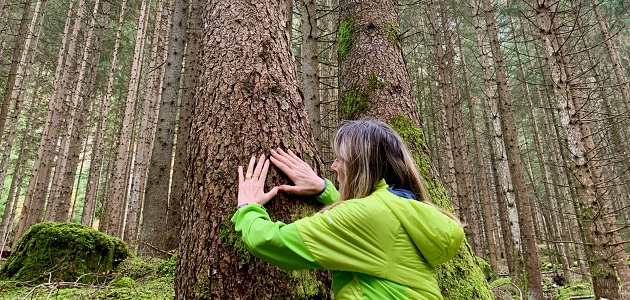 Centro specializzato nel digiuno terapeutico BUCHINGER: questo significa, trovare pace, passare tempo nella e con la natura, togliere peso, sentire il proprio corpo, riempirsi di energia, giorni senza frenesia e stress, rilassarsi, fare una pausa, trovare l’equilibrio interiore.    Una terapia efficace per combattere molte malattie Pulizia fisica e rigenerazione Consapevolezza e ricerca di sé  Questo metodo di trattamento classico permette di combattere alla radice molte malattie croniche e acute e quasi sempre di alleviare o addirittura guarire completamente, come ad esempio le malattie cardiovascolari.  Diabete di tipo 2, Sindrome metabolica. Metabolismo dei grassi, ipertensione, reumatismi dei tessuti molli, sovrappeso, malattie della pelle, emicrania e gotta     Apertura dal 26 Dicembre