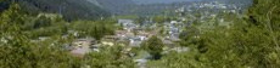 ARTA TERME